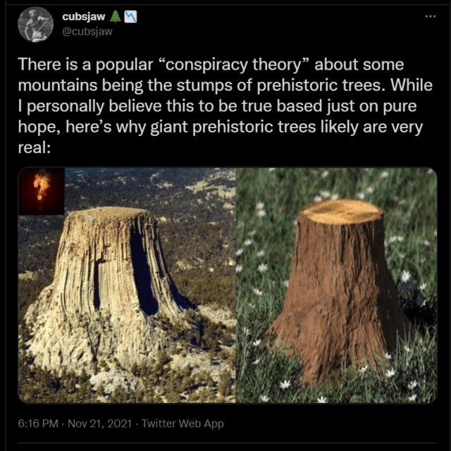 Found on Twitter: Mountains are Ancient Giant Trees